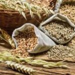 Куплю зерновые, масличные культуры