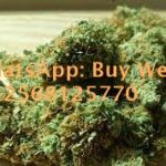 Buy CBD oil in Jeddah ༺꧁+12568125770 ༺꧁Ꮹ420 WEED IN Abu Dhabi ,Weed THC in Oman