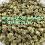 Buy CBD oil in Jeddah ꧁+12568125770 ꧁ᏩTHC Weed in Abu Dhabi Marijuana