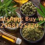 Buy Weed in Kuwait ༺+12568125770 ༺Disposable Vape in Dubai THC CBD oil in Taif