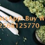 Buy CBD oil in Jeddah ꧁+12568125770 ꧁ᏩTHC Weed in Abu Dhabi Cannabis